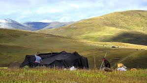 yak hair tent