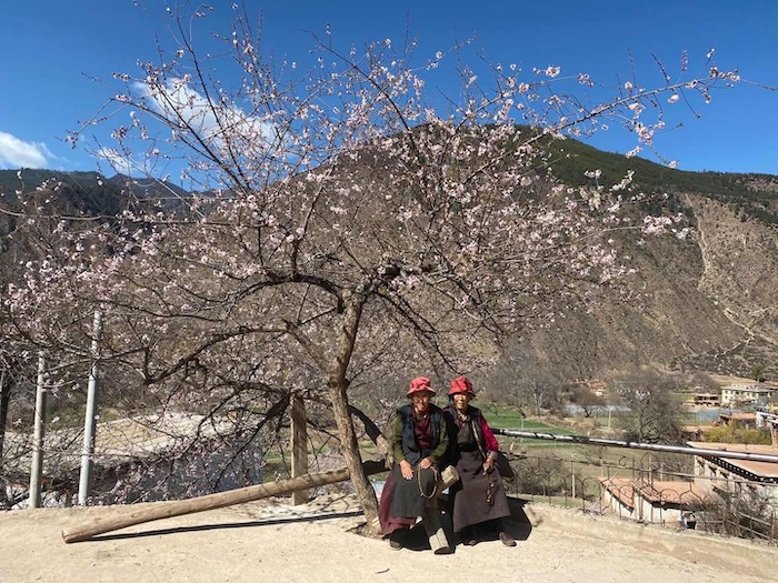 Springtime in Tibet