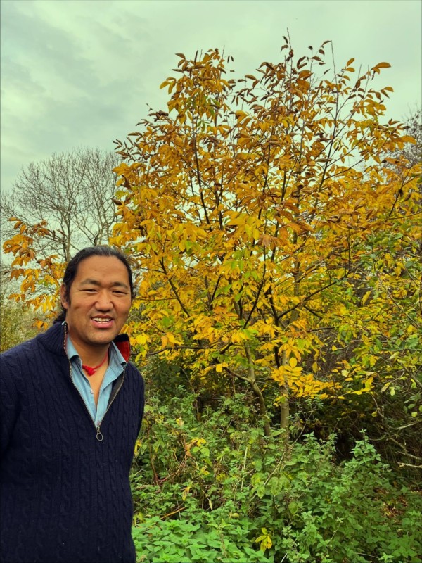 One man and his tree 🌳 Just eight days between these shots and our walnut tree in Oxford’s Aston’s Eyot nature reserve has fully bedded down for autumn. This walnut is the offspring of the family tree in Yeshi’s home in eastern Tibet. We planted it in March 2017 and it has grown spectacularly over the last year. Enjoy your winter rest, baby girl 🍂.

.

tibetanwalnut walnuttree tibetantree astonseyot oxfordtrees eastoxford tibetanchef tibetanrestaurant